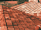 Wood Roof